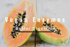 Boost Your Vegan Diet: Digestive Enzymes for Plant-Based Ease Discover Delicious Vegan Food, Beauty Swaps, and Zero-Waste Tips for a Greener Life Boost Your Vegan Diet: Digestive Enzymes for Plant-Based Ease | Discover Delicious Vegan Food, Beauty Swaps, and Zero-Waste Tips for a Greener Life