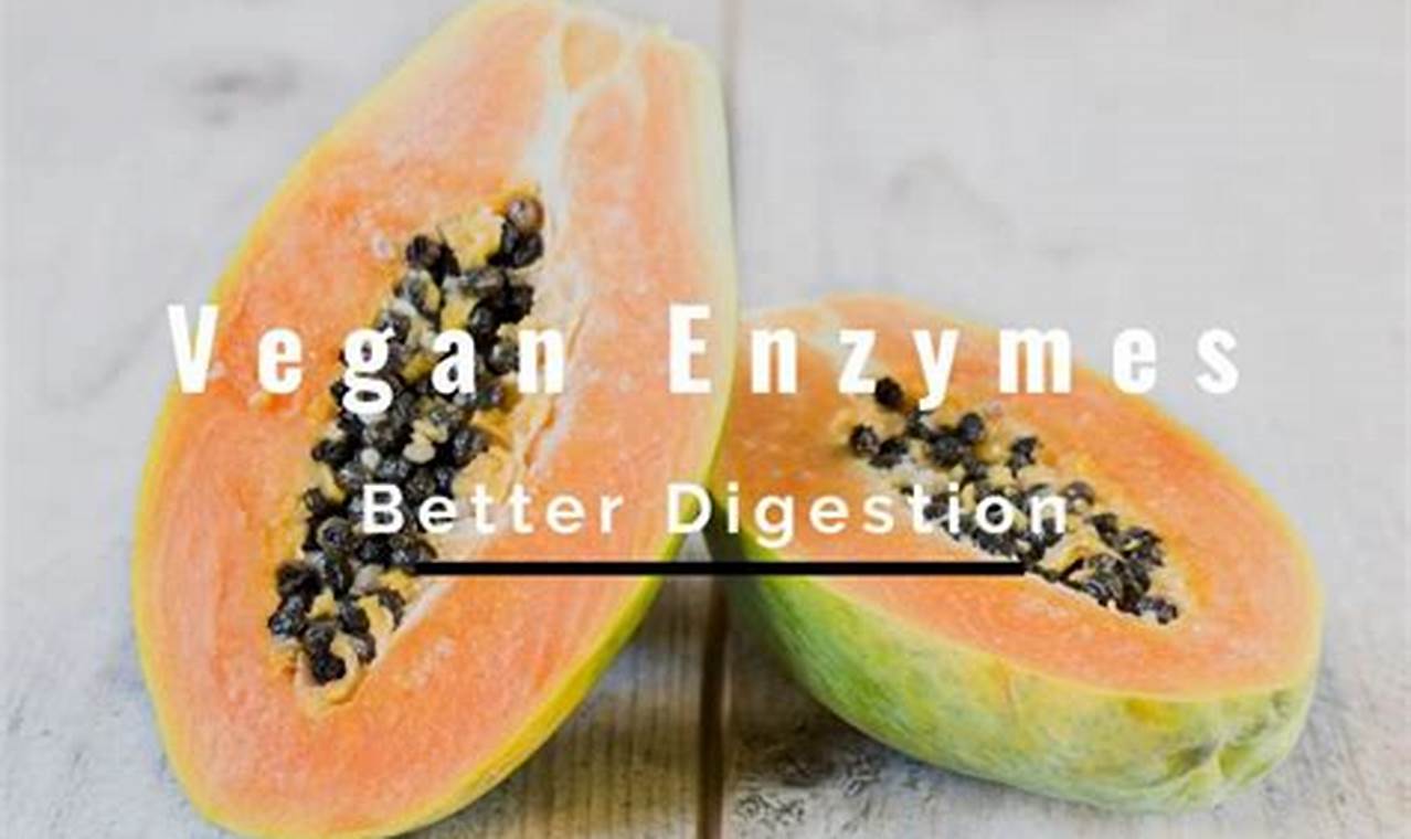 Boost Your Vegan Diet: Digestive Enzymes for Plant-Based Ease Discover Delicious Vegan Food, Beauty Swaps, and Zero-Waste Tips for a Greener Life Boost Your Vegan Diet: Digestive Enzymes for Plant-Based Ease | Discover Delicious Vegan Food, Beauty Swaps, and Zero-Waste Tips for a Greener Life