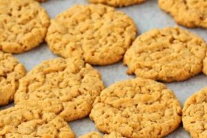 Easy Vegan Peanut Butter Oat Cookies (Simple Recipe!) Safem Fabrication - Precision Engineering & Custom Manufacturing Solutions Easy Vegan Peanut Butter Oat Cookies (Simple Recipe!) | Safem Fabrication - Precision Engineering & Custom Manufacturing Solutions
