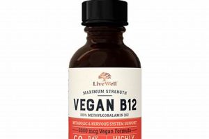 The Best Vegan B12 Supplement Guide | Vegan Health Safem Fabrication - Precision Engineering & Custom Manufacturing Solutions The Best Vegan B12 Supplement Guide | Vegan Health | Safem Fabrication - Precision Engineering & Custom Manufacturing Solutions