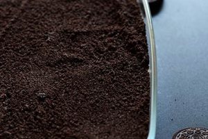 Easy Vegan Dirt Cake Recipe: Nostalgic Fun! Discover Delicious Vegan Food, Beauty Swaps, and Zero-Waste Tips for a Greener Life Easy Vegan Dirt Cake Recipe: Nostalgic Fun! | Discover Delicious Vegan Food, Beauty Swaps, and Zero-Waste Tips for a Greener Life