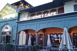 Best Vegan Restaurants in Myrtle Beach: Your Guide! Safem Fabrication - Precision Engineering & Custom Manufacturing Solutions Best Vegan Restaurants in Myrtle Beach: Your Guide! | Safem Fabrication - Precision Engineering & Custom Manufacturing Solutions