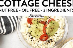 Vegan Cheese: Where to Buy Vegan Cottage Cheese Near You Discover Delicious Vegan Food, Beauty Swaps, and Zero-Waste Tips for a Greener Life Vegan Cheese: Where to Buy Vegan Cottage Cheese Near You | Discover Delicious Vegan Food, Beauty Swaps, and Zero-Waste Tips for a Greener Life