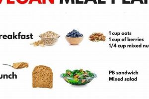 Is a 1200 Calorie Vegan Diet Right For You? Tips & Dangers Safem Fabrication - Precision Engineering & Custom Manufacturing Solutions Is a 1200 Calorie Vegan Diet Right For You? Tips & Dangers | Safem Fabrication - Precision Engineering & Custom Manufacturing Solutions