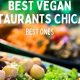 Best Chicago Vegan Restaurants: Plant-Based Options Galore! | Discover Delicious Vegan Food, Beauty Swaps, and Zero-Waste Tips for a Greener Life