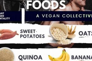 The Ultimate Vegan Bulking Diet Plan: Build Muscle Now! Discover Delicious Vegan Food, Beauty Swaps, and Zero-Waste Tips for a Greener Life The Ultimate Vegan Bulking Diet Plan: Build Muscle Now! | Discover Delicious Vegan Food, Beauty Swaps, and Zero-Waste Tips for a Greener Life