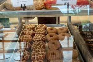 Nashville's Best Vegan Bakery: Treats & Sweets! Discover Delicious Vegan Food, Beauty Swaps, and Zero-Waste Tips for a Greener Life Nashville's Best Vegan Bakery: Treats & Sweets! | Discover Delicious Vegan Food, Beauty Swaps, and Zero-Waste Tips for a Greener Life