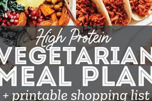 Fuel Your Body: High Protein Vegan Meal Plan Guide Discover Delicious Vegan Food, Beauty Swaps, and Zero-Waste Tips for a Greener Life Fuel Your Body: High Protein Vegan Meal Plan Guide | Discover Delicious Vegan Food, Beauty Swaps, and Zero-Waste Tips for a Greener Life
