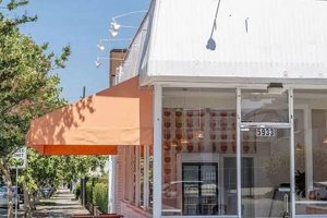 Your Guide to Highland Park Vegan Restaurants: Find Your Best! Discover Delicious Vegan Food, Beauty Swaps, and Zero-Waste Tips for a Greener Life Your Guide to Highland Park Vegan Restaurants: Find Your Best! | Discover Delicious Vegan Food, Beauty Swaps, and Zero-Waste Tips for a Greener Life
