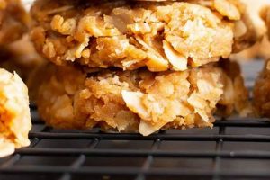 Easy Vegan No Bake Peanut Butter Cookies Recipe (Quick!) Discover Delicious Vegan Food, Beauty Swaps, and Zero-Waste Tips for a Greener Life Easy Vegan No Bake Peanut Butter Cookies Recipe (Quick!) | Discover Delicious Vegan Food, Beauty Swaps, and Zero-Waste Tips for a Greener Life