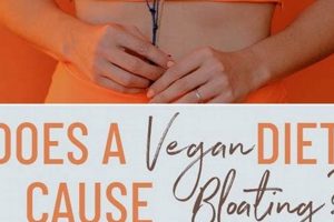 Plant-Based Bliss: Vegan Diet and Bloating - Tips & Tricks Discover Delicious Vegan Food, Beauty Swaps, and Zero-Waste Tips for a Greener Life Plant-Based Bliss: Vegan Diet and Bloating - Tips & Tricks | Discover Delicious Vegan Food, Beauty Swaps, and Zero-Waste Tips for a Greener Life