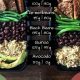 Your Guide: Vegan Food Plano, TX - Delicious & Healthy! | Discover Delicious Vegan Food, Beauty Swaps, and Zero-Waste Tips for a Greener Life