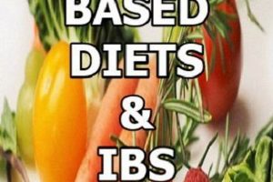 Is Vegan Diet Safe for IBS? Guide & Tips Discover Delicious Vegan Food, Beauty Swaps, and Zero-Waste Tips for a Greener Life Is Vegan Diet Safe for IBS? Guide & Tips | Discover Delicious Vegan Food, Beauty Swaps, and Zero-Waste Tips for a Greener Life