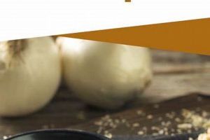 The BEST Onion Soup Mix Vegan Recipe: SO Easy! Discover Delicious Vegan Food, Beauty Swaps, and Zero-Waste Tips for a Greener Life The BEST Onion Soup Mix Vegan Recipe: SO Easy! | Discover Delicious Vegan Food, Beauty Swaps, and Zero-Waste Tips for a Greener Life