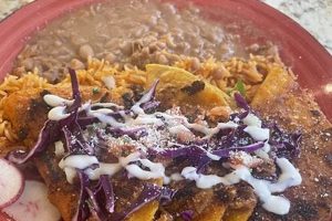 The Ultimate Vegan Food in Santa Clarita Guide Discover Delicious Vegan Food, Beauty Swaps, and Zero-Waste Tips for a Greener Life The Ultimate Vegan Food in Santa Clarita Guide | Discover Delicious Vegan Food, Beauty Swaps, and Zero-Waste Tips for a Greener Life