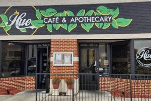 Best Vegan Restaurants Owings Mills: A Local Guide Discover Delicious Vegan Food, Beauty Swaps, and Zero-Waste Tips for a Greener Life Best Vegan Restaurants Owings Mills: A Local Guide | Discover Delicious Vegan Food, Beauty Swaps, and Zero-Waste Tips for a Greener Life