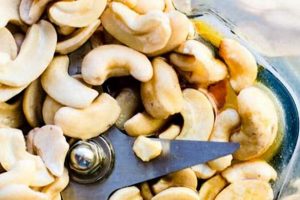 Deliciously Vegan: Easy Cashew Recipes for Every Meal Discover Delicious Vegan Food, Beauty Swaps, and Zero-Waste Tips for a Greener Life Deliciously Vegan: Easy Cashew Recipes for Every Meal | Discover Delicious Vegan Food, Beauty Swaps, and Zero-Waste Tips for a Greener Life