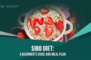 The Ultimate Vegan Diet for SIBO: Symptoms & Guide Discover Delicious Vegan Food, Beauty Swaps, and Zero-Waste Tips for a Greener Life The Ultimate Vegan Diet for SIBO: Symptoms & Guide | Discover Delicious Vegan Food, Beauty Swaps, and Zero-Waste Tips for a Greener Life