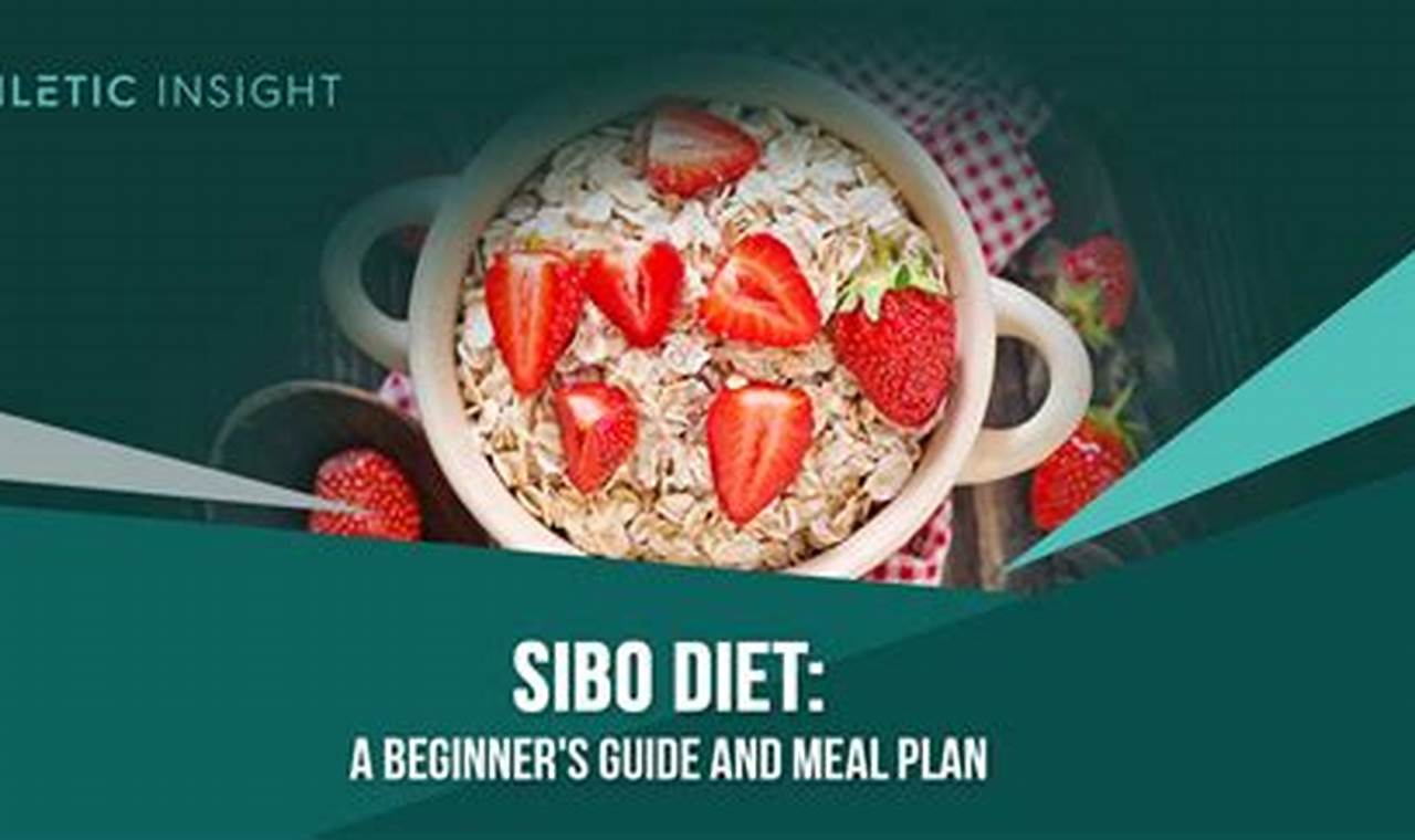 The Ultimate Vegan Diet for SIBO: Symptoms & Guide Discover Delicious Vegan Food, Beauty Swaps, and Zero-Waste Tips for a Greener Life The Ultimate Vegan Diet for SIBO: Symptoms & Guide | Discover Delicious Vegan Food, Beauty Swaps, and Zero-Waste Tips for a Greener Life