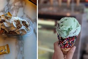 Best Vegan Ice Cream San Francisco CA Guide [2024] | Discover Delicious Vegan Food, Beauty Swaps, and Zero-Waste Tips for a Greener Life