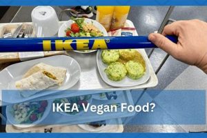 Guide to IKEA Food Vegan: Menu & More! Discover Delicious Vegan Food, Beauty Swaps, and Zero-Waste Tips for a Greener Life Guide to IKEA Food Vegan: Menu & More! | Discover Delicious Vegan Food, Beauty Swaps, and Zero-Waste Tips for a Greener Life
