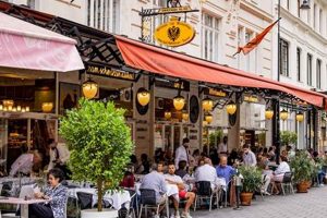 Best Vegan Restaurants Vienna: Your Plant-Based Guide Discover Delicious Vegan Food, Beauty Swaps, and Zero-Waste Tips for a Greener Life Best Vegan Restaurants Vienna: Your Plant-Based Guide | Discover Delicious Vegan Food, Beauty Swaps, and Zero-Waste Tips for a Greener Life