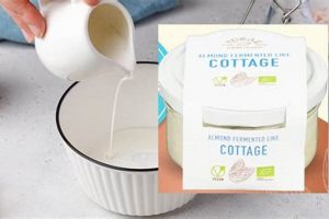 Where to Buy Vegan Cottage Cheese? Dairy-Free Now! Discover Delicious Vegan Food, Beauty Swaps, and Zero-Waste Tips for a Greener Life Where to Buy Vegan Cottage Cheese? Dairy-Free Now! | Discover Delicious Vegan Food, Beauty Swaps, and Zero-Waste Tips for a Greener Life