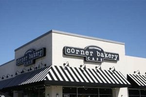 The Guide to Vegan Options at Corner Bakery (2024) Safem Fabrication - Precision Engineering & Custom Manufacturing Solutions The Guide to Vegan Options at Corner Bakery (2024) | Safem Fabrication - Precision Engineering & Custom Manufacturing Solutions