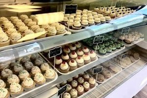 Best Vegan Bakery Greenville SC: Treats & Sweets Safem Fabrication - Precision Engineering & Custom Manufacturing Solutions Best Vegan Bakery Greenville SC: Treats & Sweets | Safem Fabrication - Precision Engineering & Custom Manufacturing Solutions