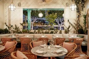 Best Vegan Restaurants in Hollywood, CA: A Complete Guide Discover Delicious Vegan Food, Beauty Swaps, and Zero-Waste Tips for a Greener Life Best Vegan Restaurants in Hollywood, CA: A Complete Guide | Discover Delicious Vegan Food, Beauty Swaps, and Zero-Waste Tips for a Greener Life