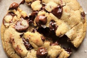 Nora's Best Vegan Chocolate Chip Cookies Recipe (Easy!) Discover Delicious Vegan Food, Beauty Swaps, and Zero-Waste Tips for a Greener Life Nora's Best Vegan Chocolate Chip Cookies Recipe (Easy!) | Discover Delicious Vegan Food, Beauty Swaps, and Zero-Waste Tips for a Greener Life