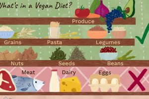 Guide to Vegan Food on the Strip in Las Vegas Discover Delicious Vegan Food, Beauty Swaps, and Zero-Waste Tips for a Greener Life Guide to Vegan Food on the Strip in Las Vegas | Discover Delicious Vegan Food, Beauty Swaps, and Zero-Waste Tips for a Greener Life