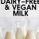 Is Vegan Always Dairy-Free? Vegan Diet & Dairy | Discover Delicious Vegan Food, Beauty Swaps, and Zero-Waste Tips for a Greener Life