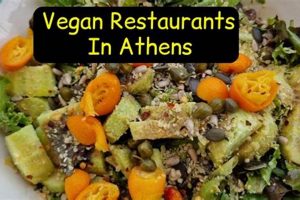 Best Vegan Restaurants in Athens, Greece: A Guide Discover Delicious Vegan Food, Beauty Swaps, and Zero-Waste Tips for a Greener Life Best Vegan Restaurants in Athens, Greece: A Guide | Discover Delicious Vegan Food, Beauty Swaps, and Zero-Waste Tips for a Greener Life