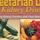 Guide: Vegan Diet for Kidney Disease - Safe & Effective | Discover Delicious Vegan Food, Beauty Swaps, and Zero-Waste Tips for a Greener Life