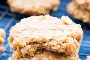 Easy Vegan Oatmeal Cookies (No Butter, Delicious!) Discover Delicious Vegan Food, Beauty Swaps, and Zero-Waste Tips for a Greener Life Easy Vegan Oatmeal Cookies (No Butter, Delicious!) | Discover Delicious Vegan Food, Beauty Swaps, and Zero-Waste Tips for a Greener Life