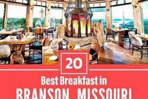 Guide to Vegan Restaurants in Branson, MO: Find Plant-Based Eats! Discover Delicious Vegan Food, Beauty Swaps, and Zero-Waste Tips for a Greener Life Guide to Vegan Restaurants in Branson, MO: Find Plant-Based Eats! | Discover Delicious Vegan Food, Beauty Swaps, and Zero-Waste Tips for a Greener Life