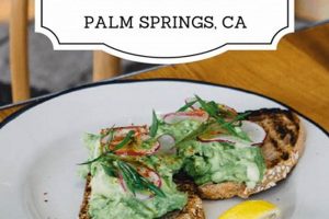 Best Vegan Restaurants in Palm Springs: Find Eats! Discover Delicious Vegan Food, Beauty Swaps, and Zero-Waste Tips for a Greener Life Best Vegan Restaurants in Palm Springs: Find Eats! | Discover Delicious Vegan Food, Beauty Swaps, and Zero-Waste Tips for a Greener Life