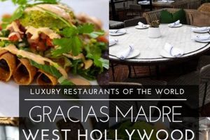 Best Vegan Restaurants in Hollywood Florida (Guide) Discover Delicious Vegan Food, Beauty Swaps, and Zero-Waste Tips for a Greener Life Best Vegan Restaurants in Hollywood Florida (Guide) | Discover Delicious Vegan Food, Beauty Swaps, and Zero-Waste Tips for a Greener Life