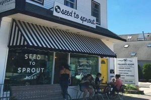 Best Vegan Restaurants in Jersey City NJ: A Local Guide Discover Delicious Vegan Food, Beauty Swaps, and Zero-Waste Tips for a Greener Life Best Vegan Restaurants in Jersey City NJ: A Local Guide | Discover Delicious Vegan Food, Beauty Swaps, and Zero-Waste Tips for a Greener Life