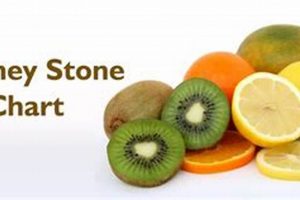 Can a Vegan Diet Cause Kidney Stones? Risks & Prevention Discover Delicious Vegan Food, Beauty Swaps, and Zero-Waste Tips for a Greener Life Can a Vegan Diet Cause Kidney Stones? Risks & Prevention | Discover Delicious Vegan Food, Beauty Swaps, and Zero-Waste Tips for a Greener Life