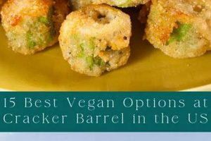 Your Guide: Vegan Options at Cracker Barrel (2024) Discover Delicious Vegan Food, Beauty Swaps, and Zero-Waste Tips for a Greener Life Your Guide: Vegan Options at Cracker Barrel (2024) | Discover Delicious Vegan Food, Beauty Swaps, and Zero-Waste Tips for a Greener Life