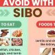 SIBO Diet Vegan Guide: Relief the Plant-Based Way | Discover Delicious Vegan Food, Beauty Swaps, and Zero-Waste Tips for a Greener Life