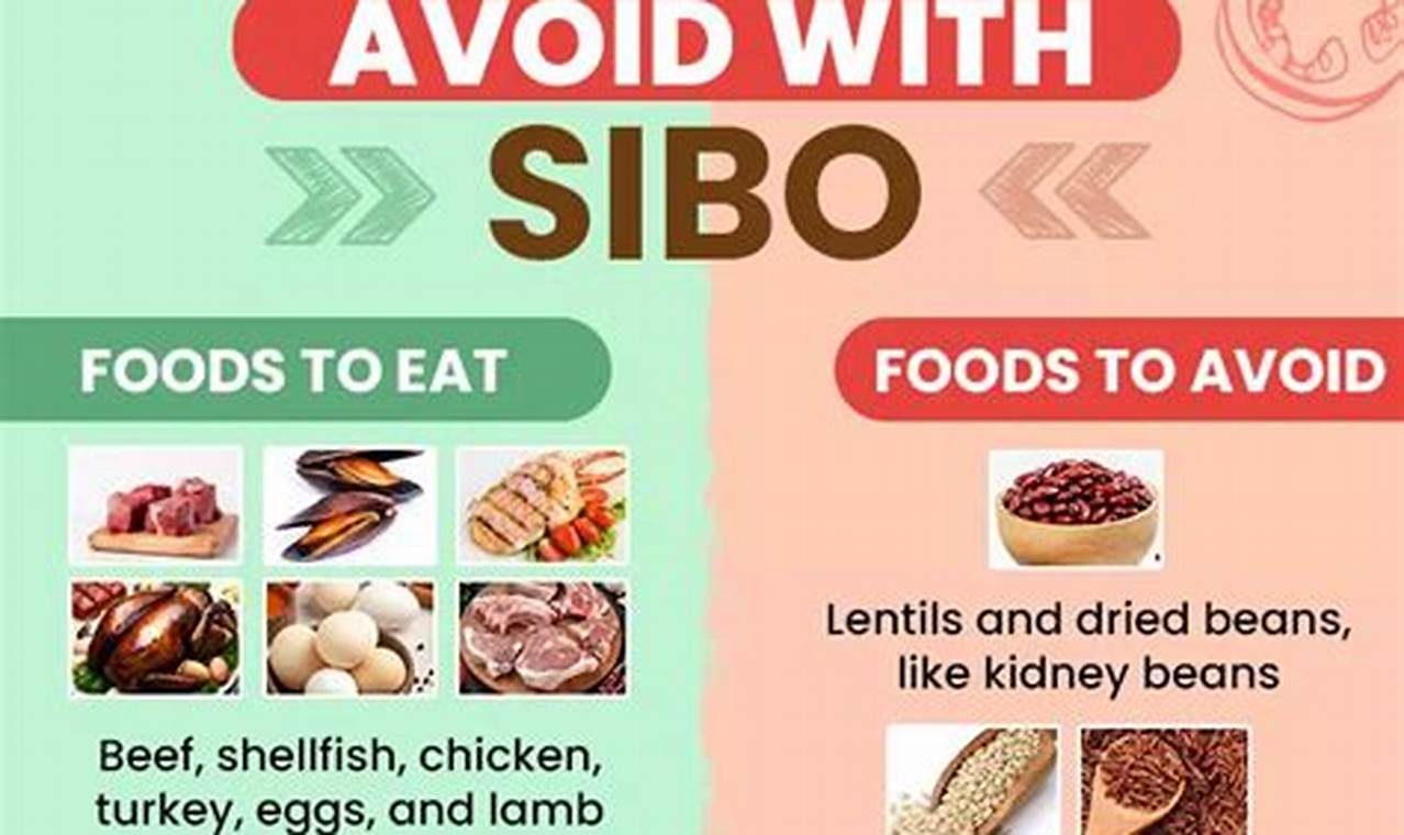 SIBO Diet Vegan Guide: Relief the Plant-Based Way Discover Delicious Vegan Food, Beauty Swaps, and Zero-Waste Tips for a Greener Life SIBO Diet Vegan Guide: Relief the Plant-Based Way | Discover Delicious Vegan Food, Beauty Swaps, and Zero-Waste Tips for a Greener Life