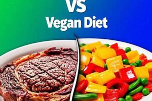 Carnivore Diet vs Vegan: Which Diet is Right For You? Discover Delicious Vegan Food, Beauty Swaps, and Zero-Waste Tips for a Greener Life Carnivore Diet vs Vegan: Which Diet is Right For You? | Discover Delicious Vegan Food, Beauty Swaps, and Zero-Waste Tips for a Greener Life