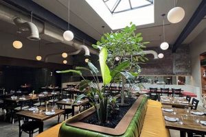 Guide to Vegan Restaurants in Morristown, NJ: Your Best Choices Discover Delicious Vegan Food, Beauty Swaps, and Zero-Waste Tips for a Greener Life Guide to Vegan Restaurants in Morristown, NJ: Your Best Choices | Discover Delicious Vegan Food, Beauty Swaps, and Zero-Waste Tips for a Greener Life