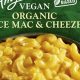 Best Vegan Cheese: Amy's Kitchen Mac & Cheese Delight | Discover Delicious Vegan Food, Beauty Swaps, and Zero-Waste Tips for a Greener Life