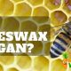 Vegan Dilemma: Is Beeswax Vegan? (Explained!) | Discover Delicious Vegan Food, Beauty Swaps, and Zero-Waste Tips for a Greener Life