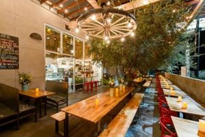 Best Vegan Restaurants in Culver City CA: Your Guide! Discover Delicious Vegan Food, Beauty Swaps, and Zero-Waste Tips for a Greener Life Best Vegan Restaurants in Culver City CA: Your Guide! | Discover Delicious Vegan Food, Beauty Swaps, and Zero-Waste Tips for a Greener Life