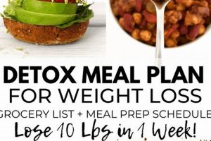 Detox: The Vegan Cleanse Diet Plan & Recipes Discover Delicious Vegan Food, Beauty Swaps, and Zero-Waste Tips for a Greener Life Detox: The Vegan Cleanse Diet Plan & Recipes | Discover Delicious Vegan Food, Beauty Swaps, and Zero-Waste Tips for a Greener Life